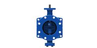 Blue Double Flanged Ductile Iron Double Eccentric Butterfly Valve
